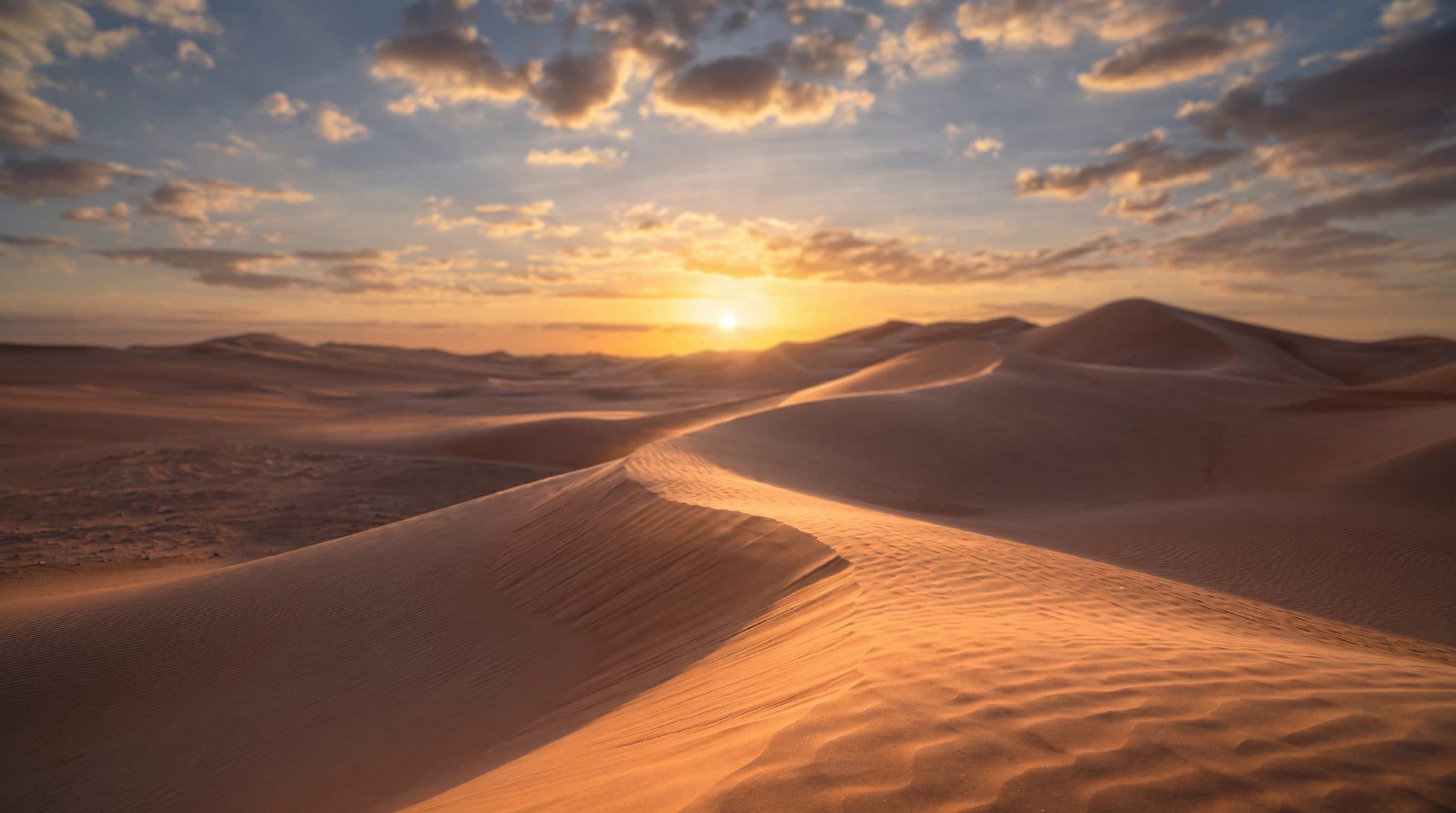 عن وهيج